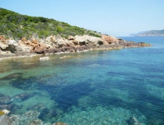  科西嘉岛潜水点 